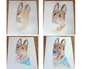 GSD 4