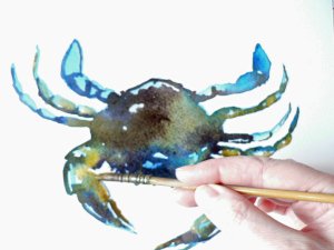 Crab 7