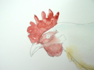 Close up of early washes on hens face