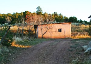 A pinkish peach adobe dwelling calling to me on Canyon Road, Sante Fe