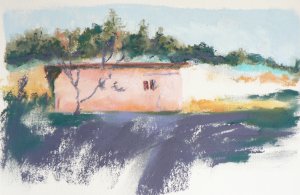 P1130226