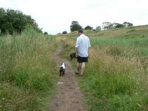 Greg walking with Sophie - now up to her belly in lovely black mud!