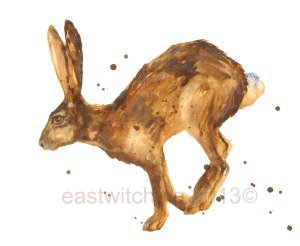 A recent hare commission in watercolour 11x14 inches