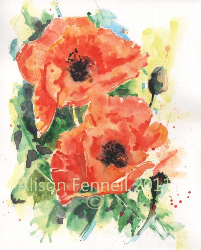 A couple of large opium poppies I painted last year.