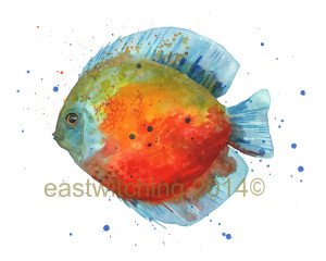 fish dashing ETSY DARK copy